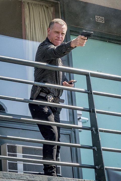 Chicago PD : Bild Jason Beghe