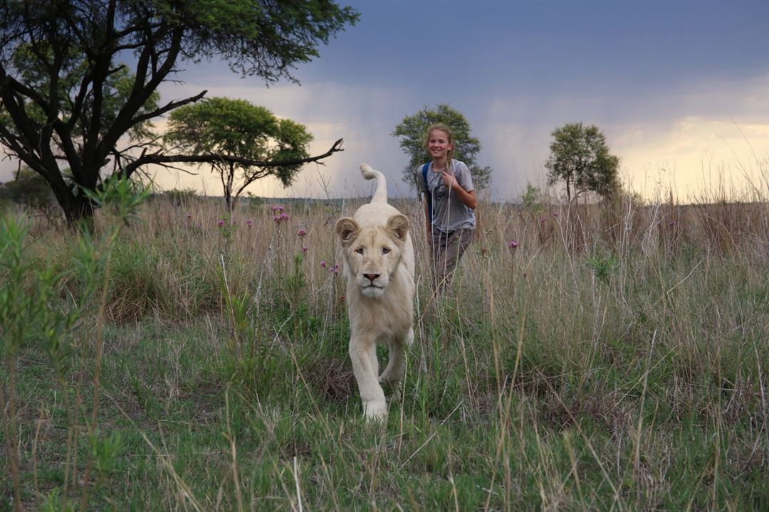 Mia und der weiße Löwe : Bild Daniah De Villiers