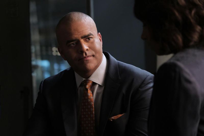 Bull : Bild Chris Jackson