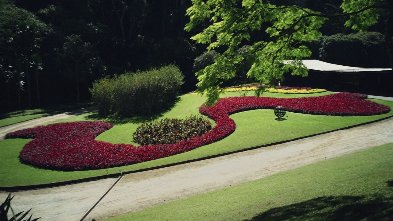 Filme Paisagem - Um Olhar Sobre Roberto Burle Marx : Bild