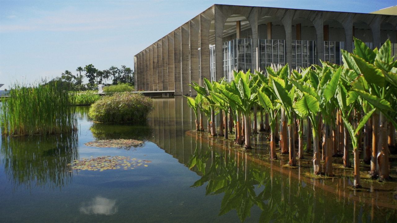 Filme Paisagem - Um Olhar Sobre Roberto Burle Marx : Bild