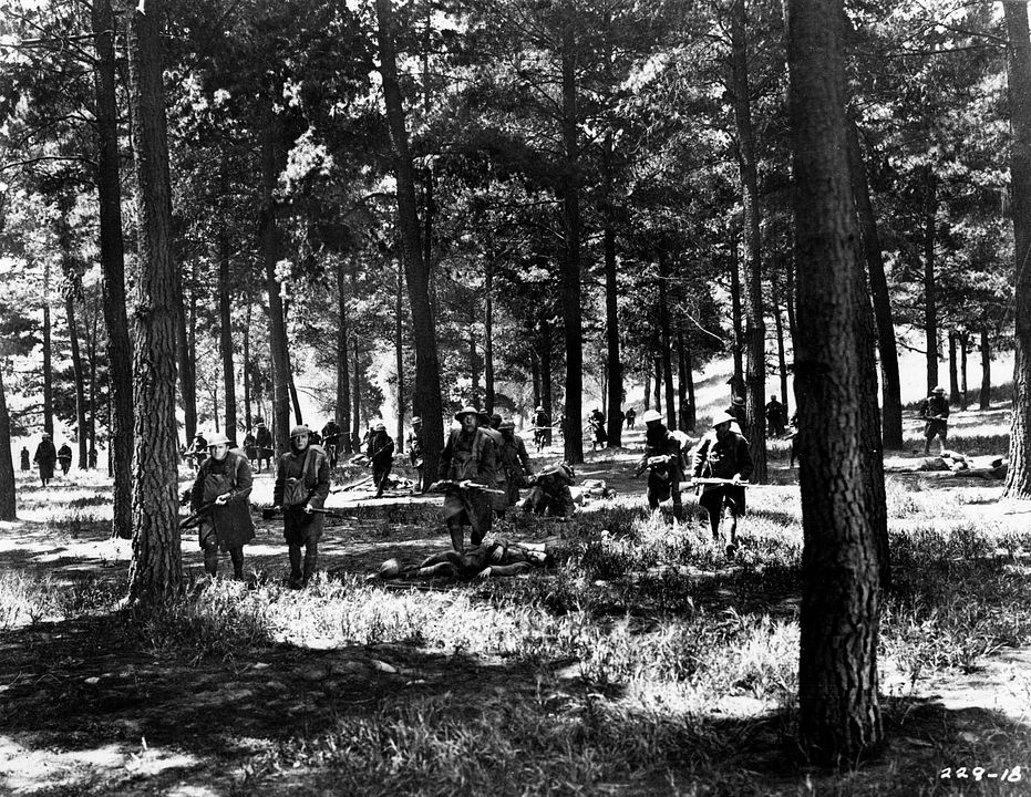 Die große Parade : Bild