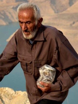 Kinoposter Hamdollah Azizi