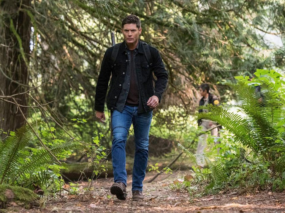 Supernatural : Bild Jensen Ackles