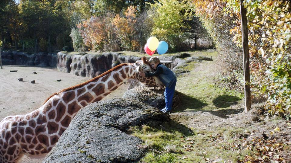 Mein Freund, die Giraffe : Bild