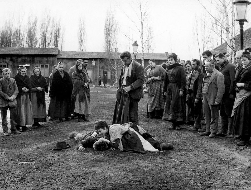 Die Peitsche im Genick : Bild