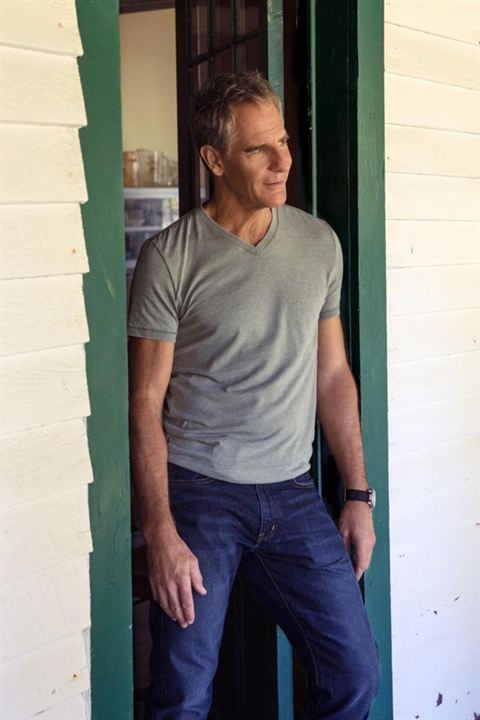 Navy CIS: New Orleans : Bild Scott Bakula