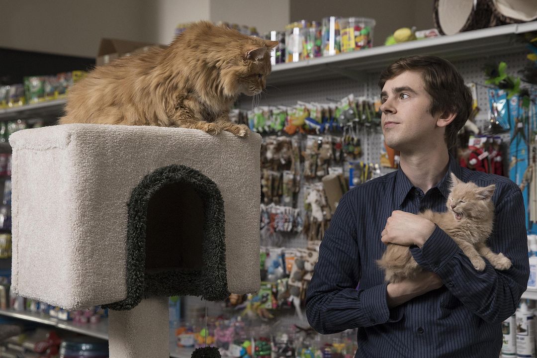 The Good Doctor : Bild Freddie Highmore