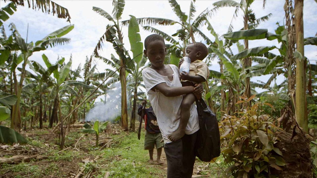 Food Evolution : Bild