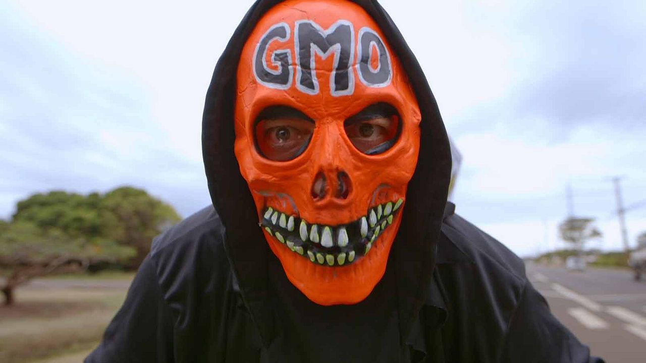 Food Evolution : Bild