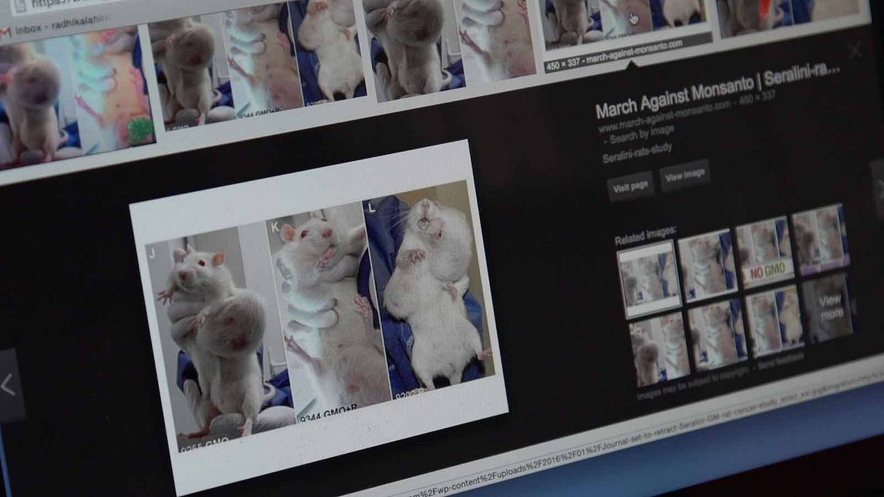 Food Evolution : Bild