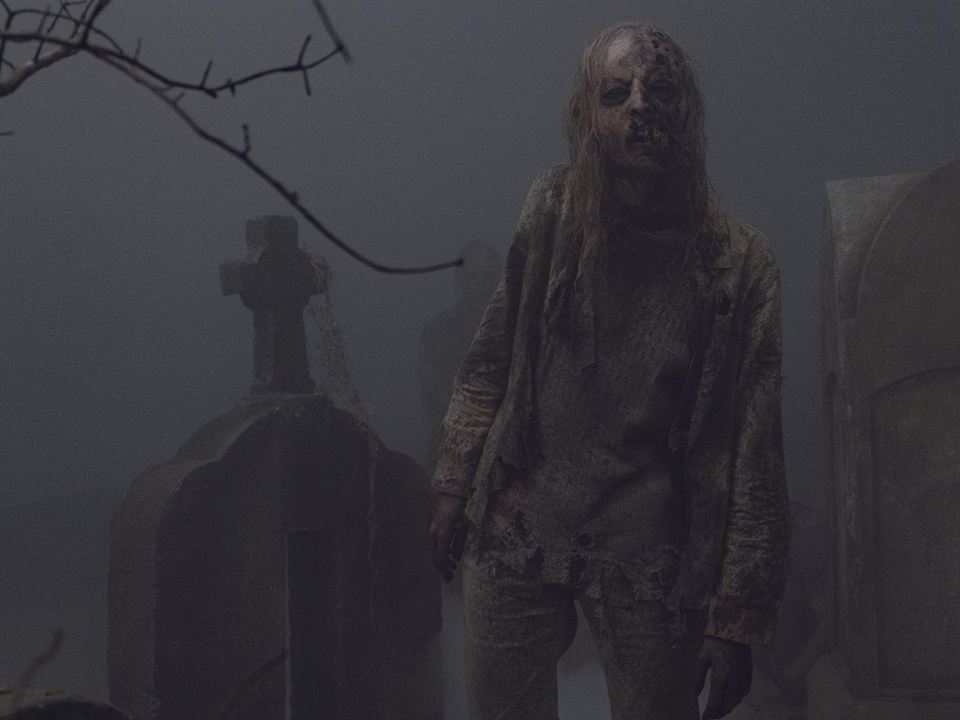 The Walking Dead : Bild