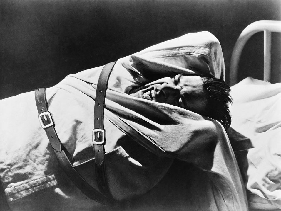 Shock Corridor : Bild