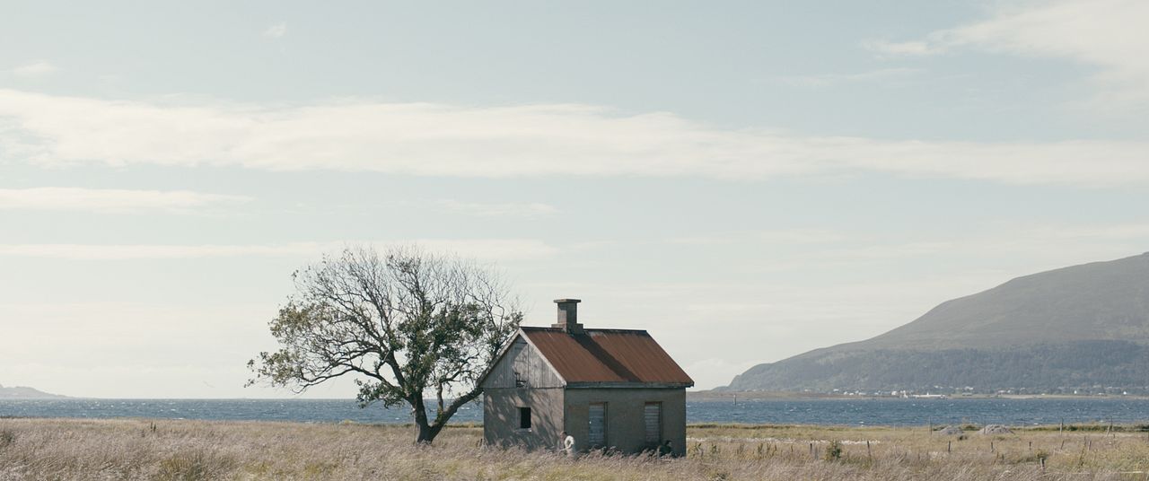 Skynd Deg Sakte : Bild