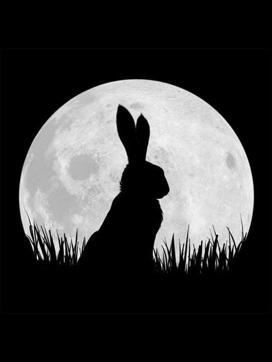 Watership Down - Unten am Fluss : Kinoposter