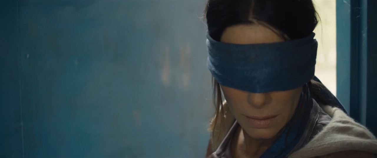 Bird Box - Schließe deine Augen : Bild Sandra Bullock