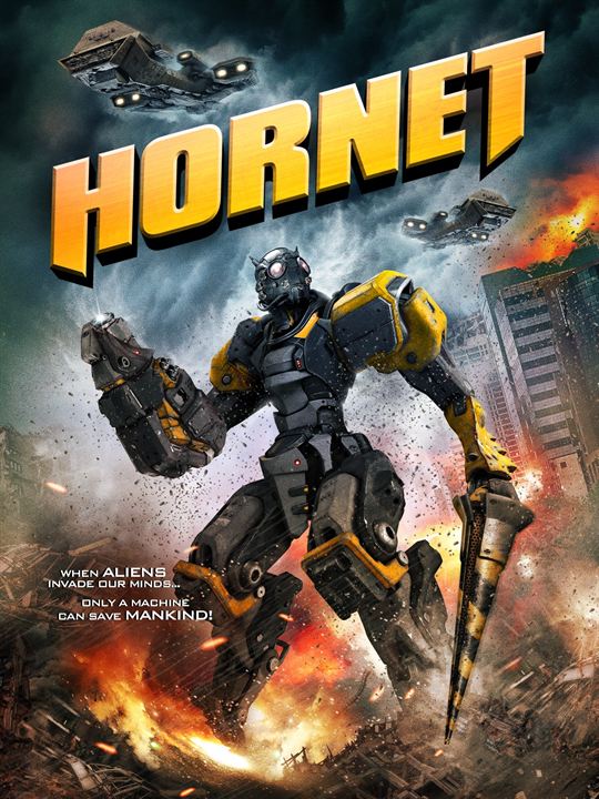 Hornet - Beschützer der Erde : Kinoposter