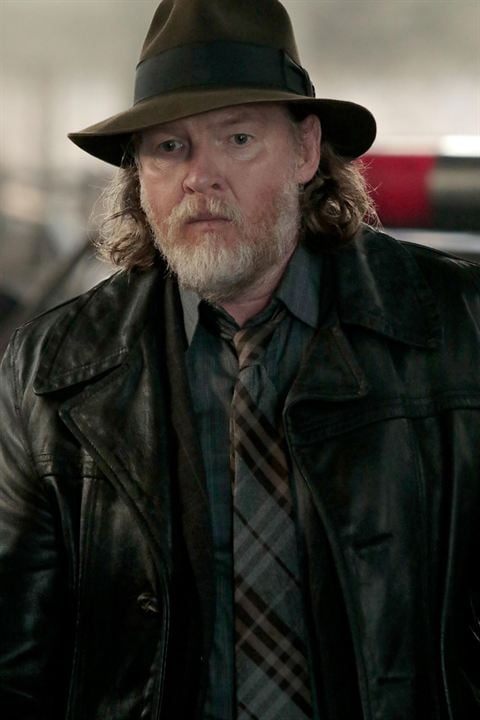 Gotham : Bild Donal Logue