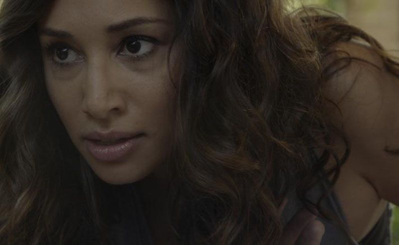 Hawaii Five-0 : Bild Meaghan Rath