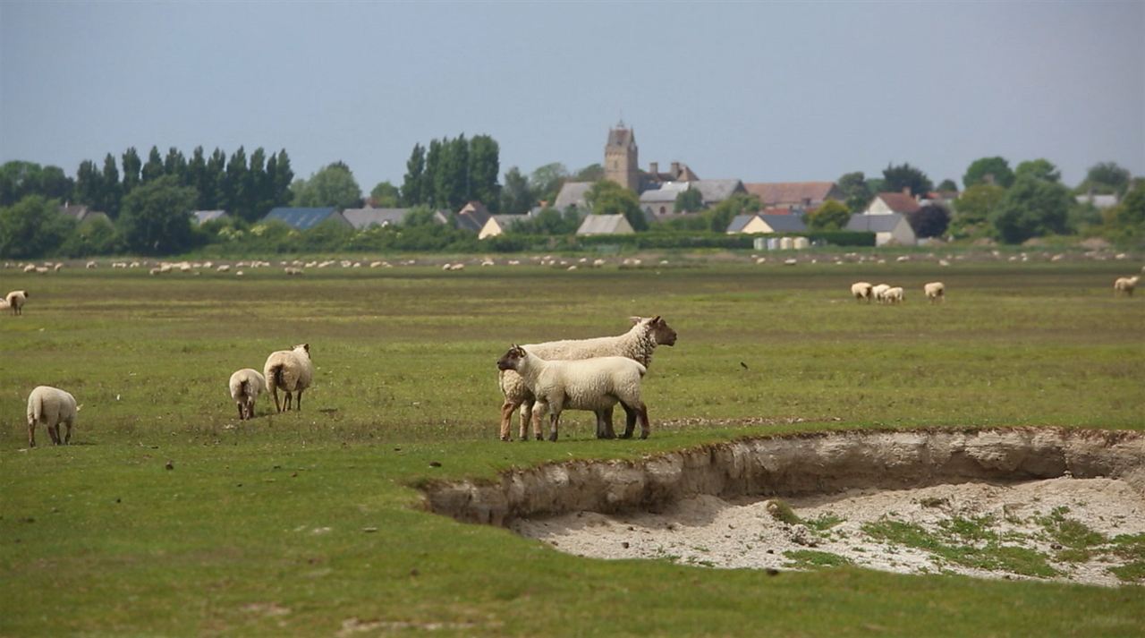 Jeune bergère : Bild