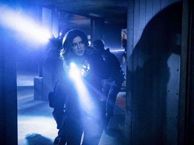 Arrow : Bild Juliana Harkavy