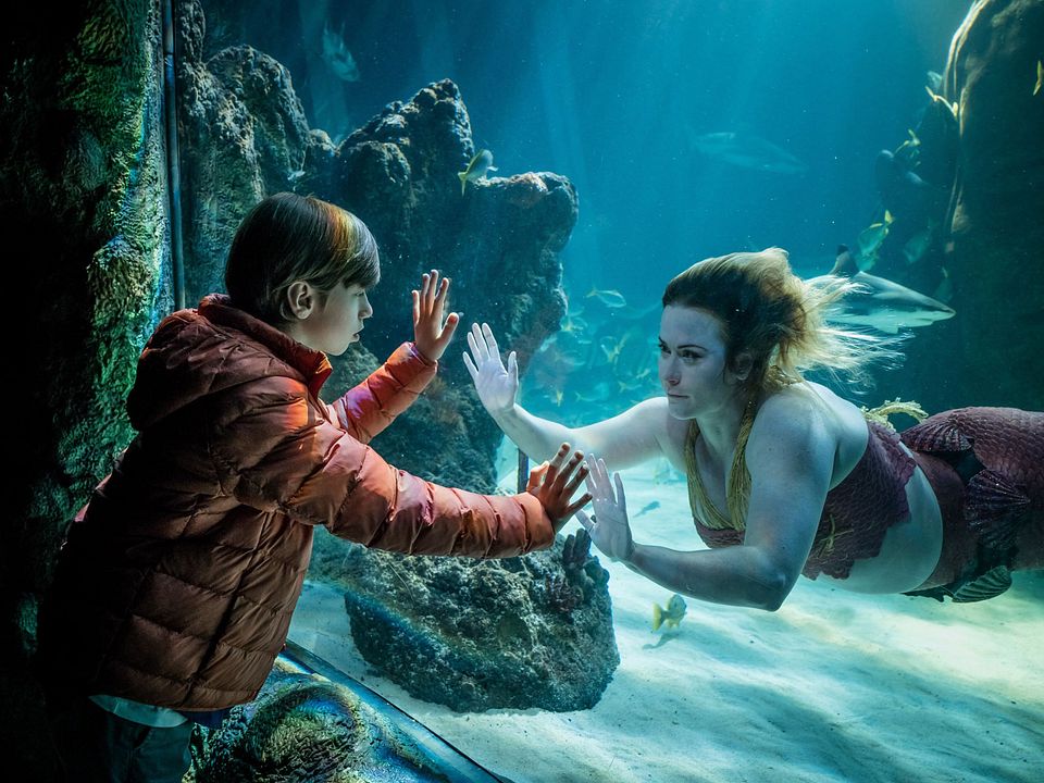 Bild Callum Booth-Ford