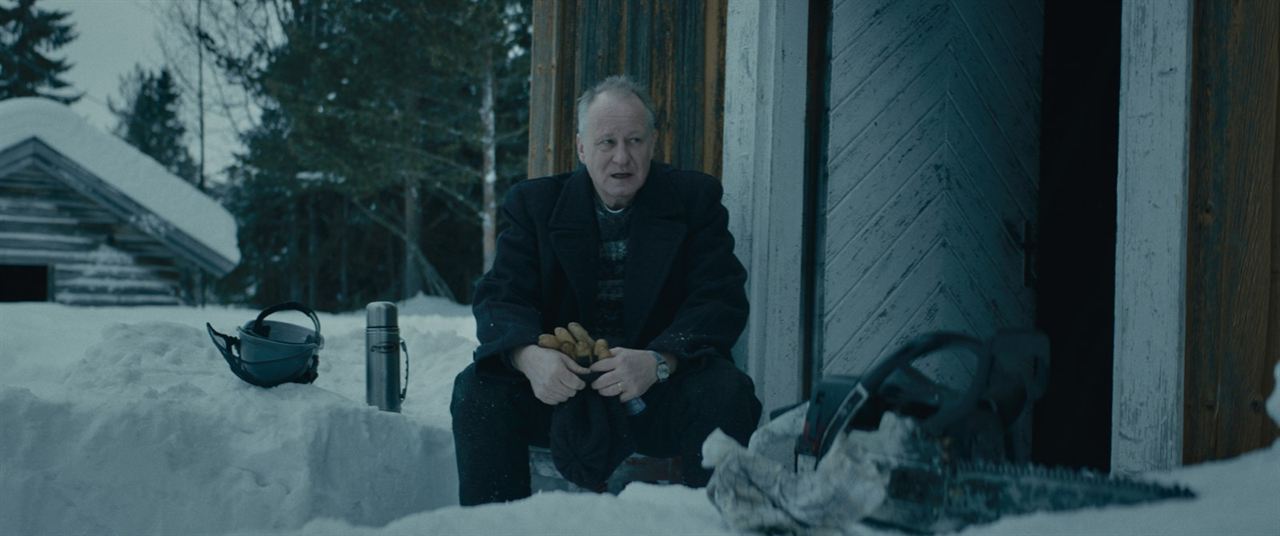 Pferde stehlen : Bild Stellan Skarsgård