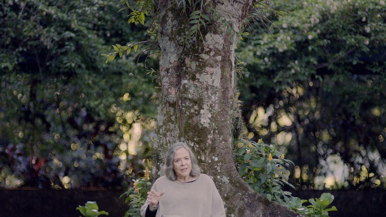 Elogio da Liberdade : Bild