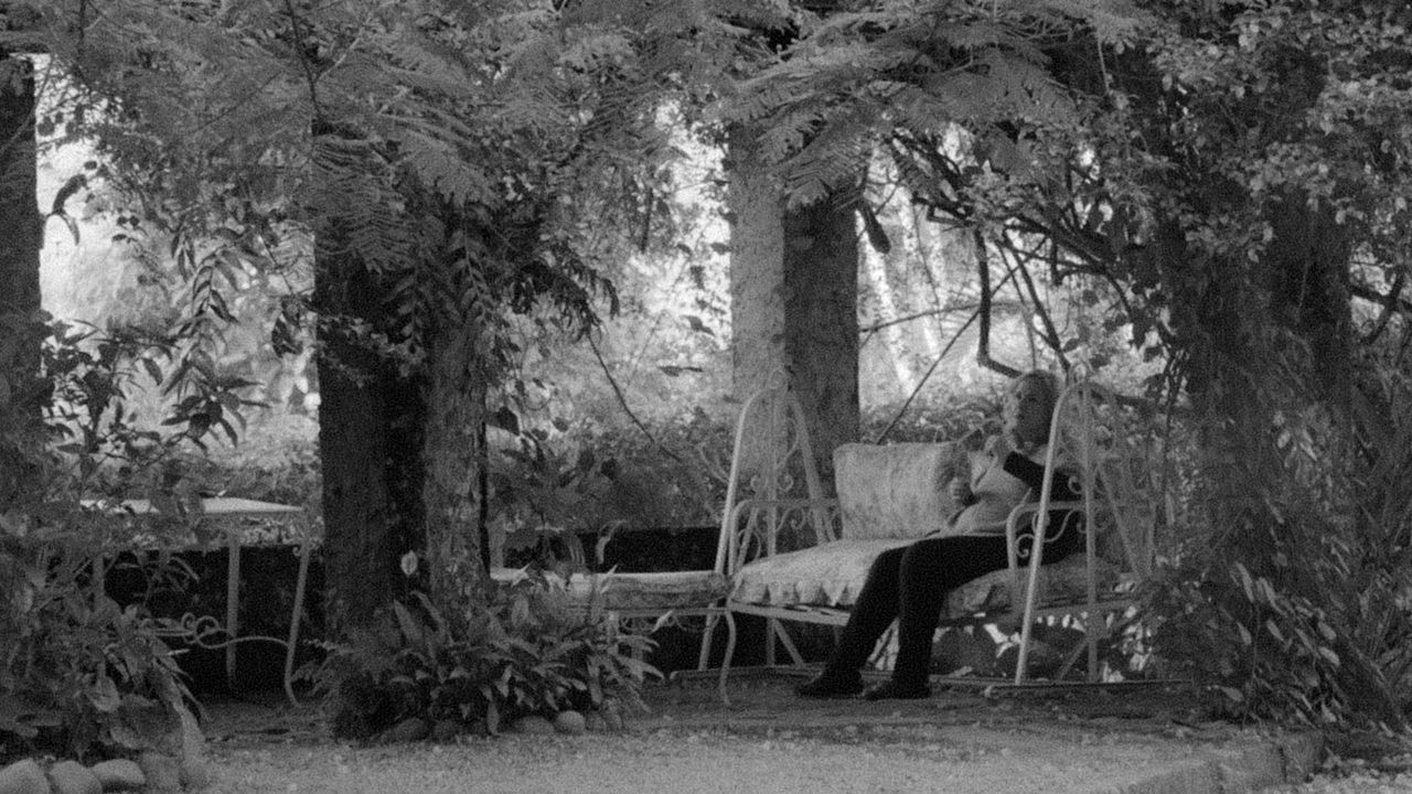 Elogio da Liberdade : Bild