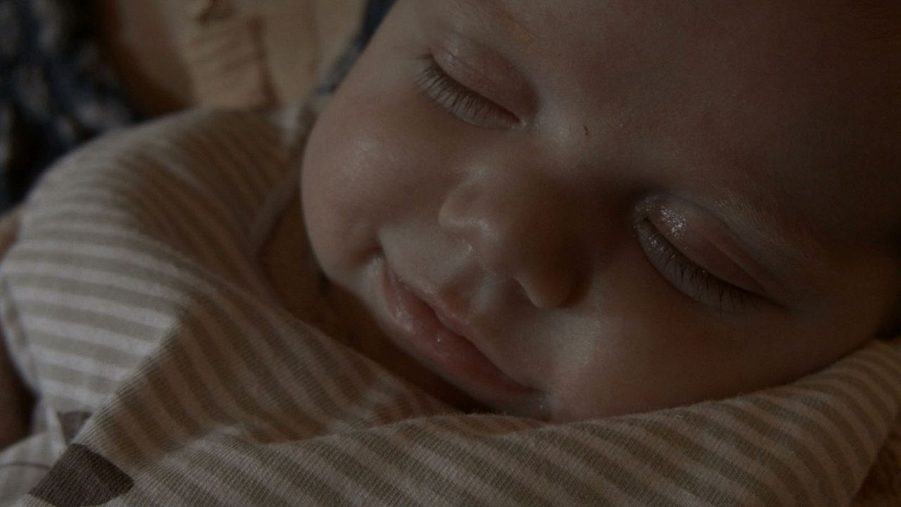 Pour Ernestine : Bild