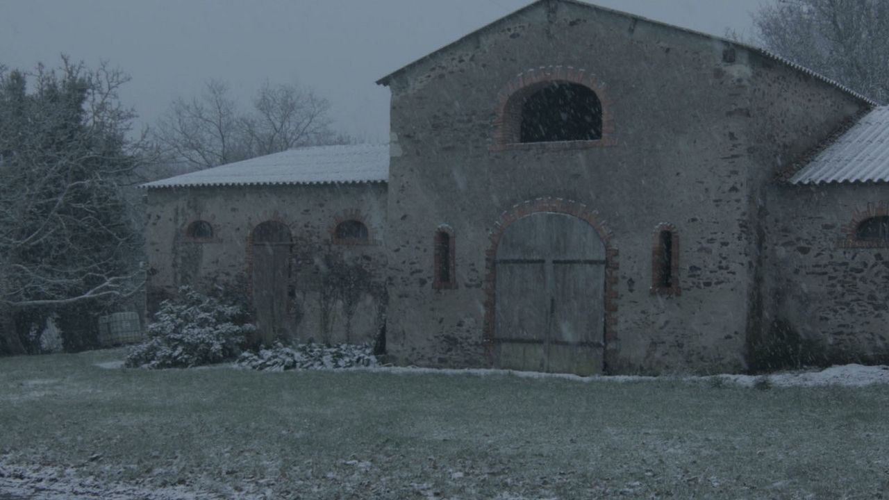 Pour Ernestine : Bild