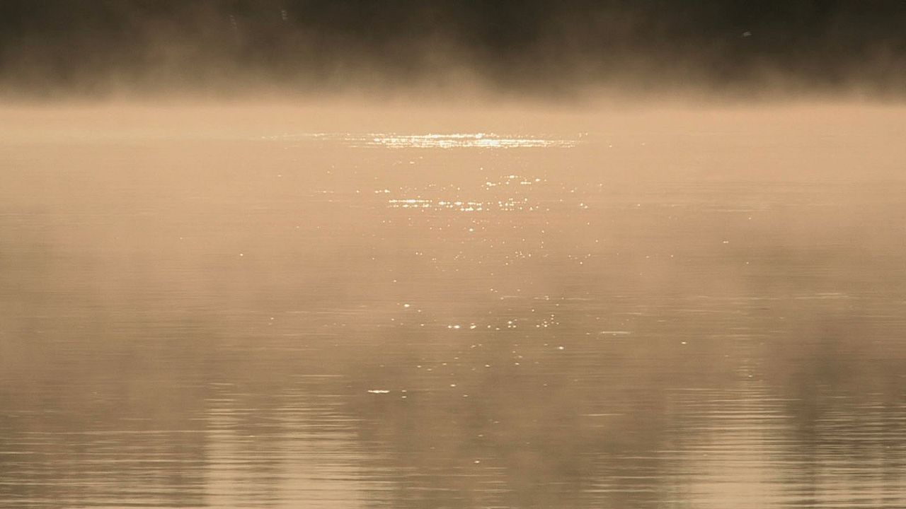 Pour Ernestine : Bild