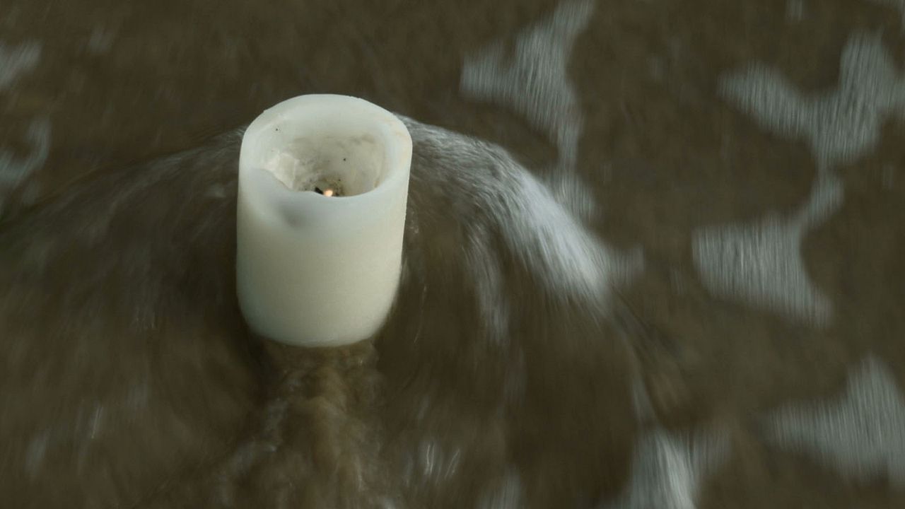 Pour Ernestine : Bild