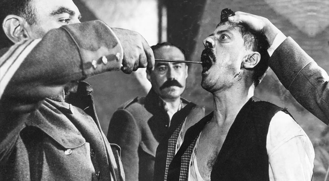 Regresa el Cepa : Bild