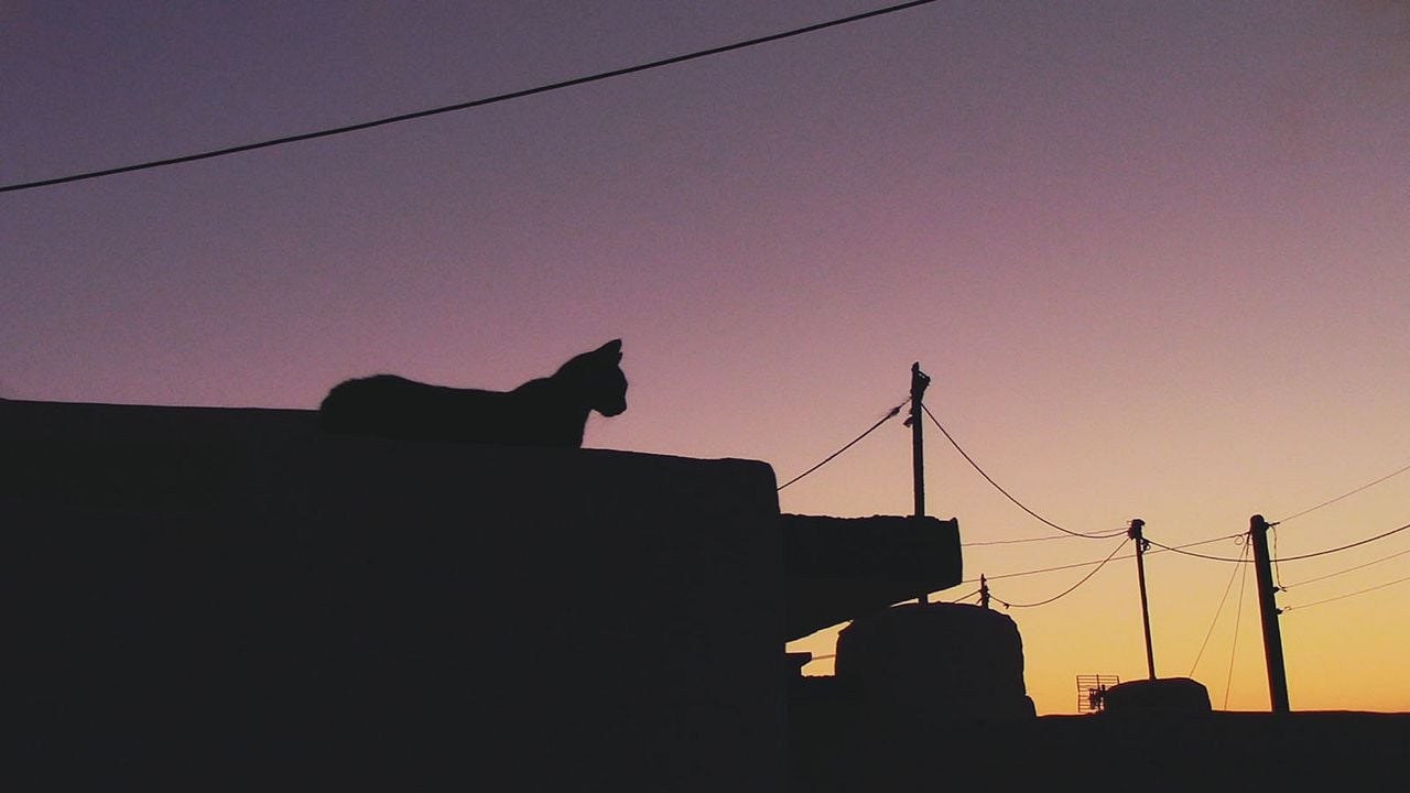 Aujourd'hui, Rien : Bild