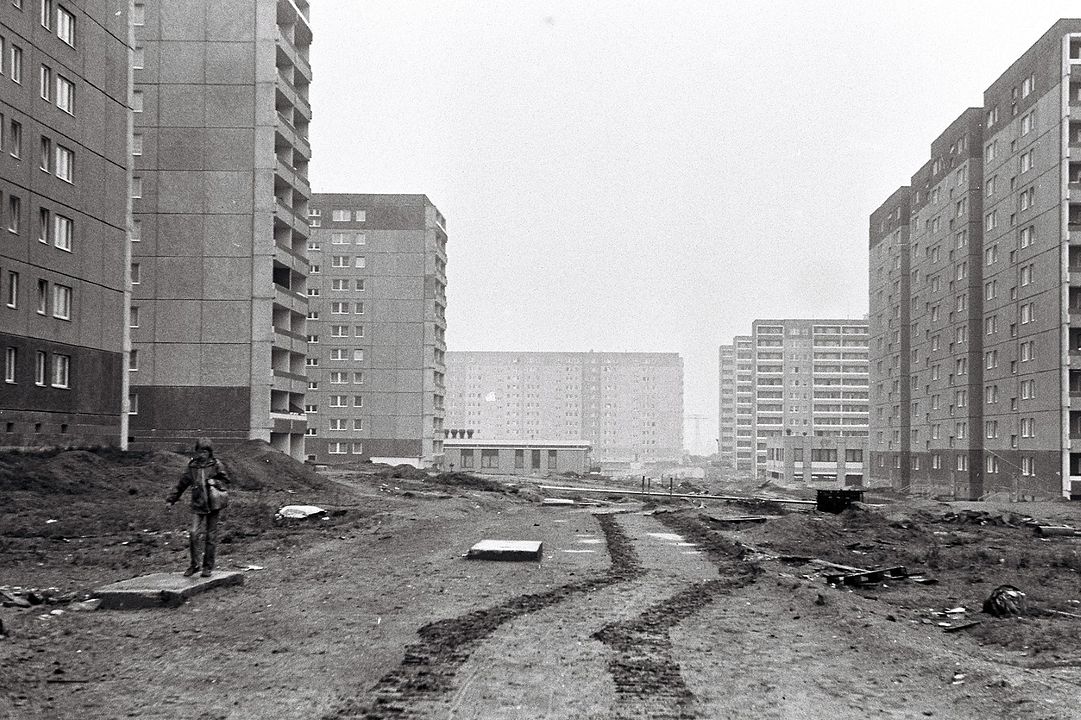 Der Funktionär : Bild