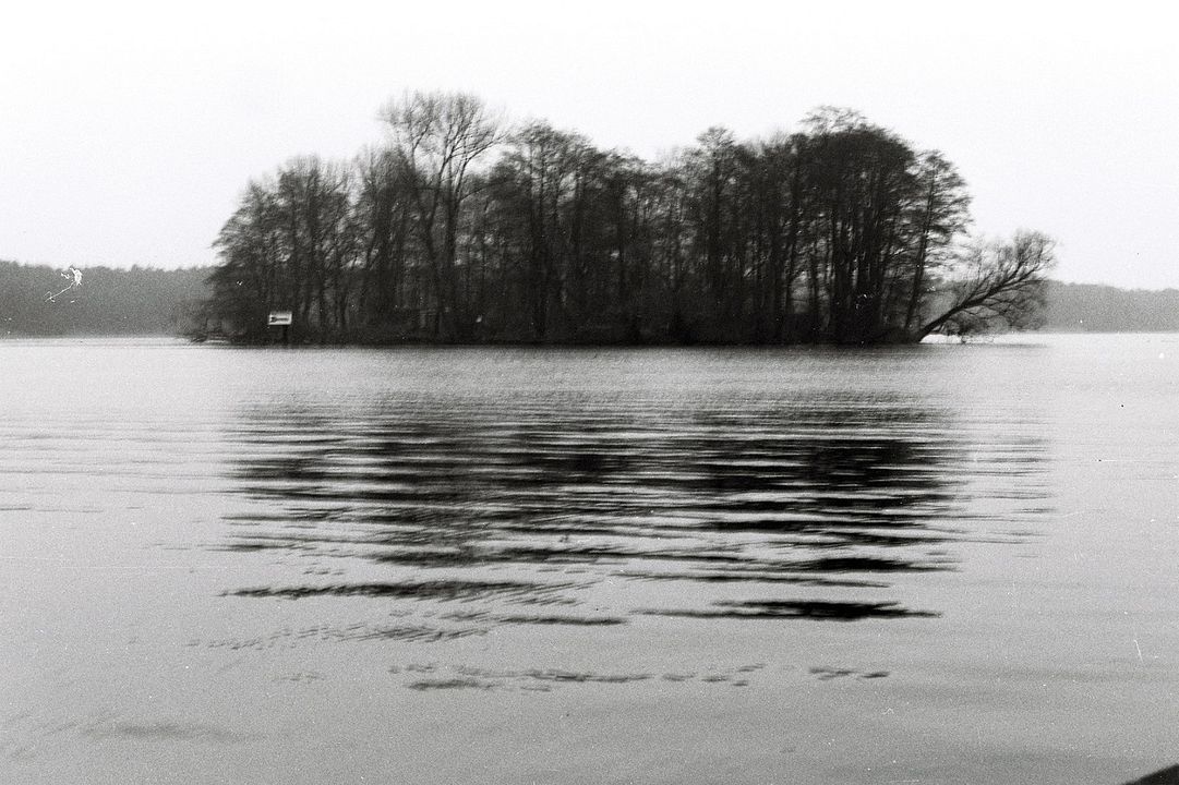 Der Funktionär : Bild