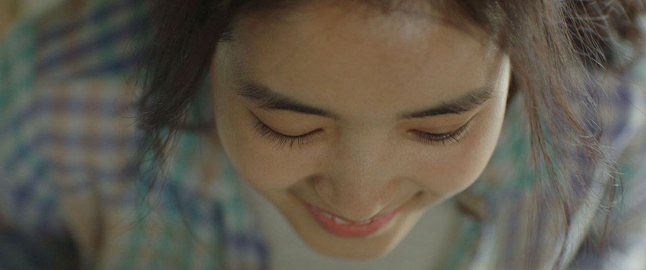 Little Forest : Bild