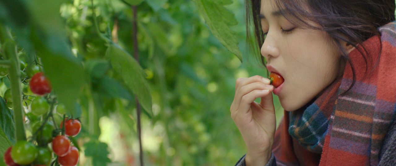 Little Forest : Bild