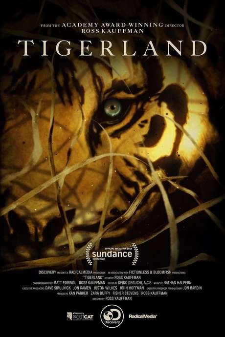 Tigerland : Kinoposter