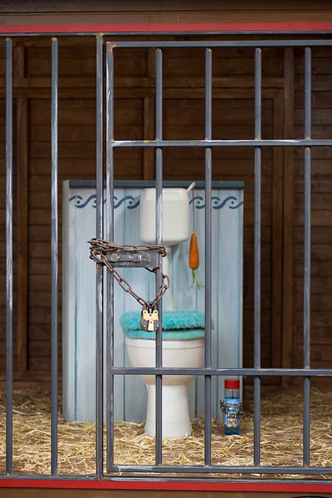 Sesamstraße präsentiert: Alarm im Zirkus : Bild