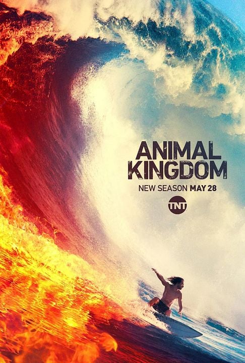 Animal Kingdom : Kinoposter