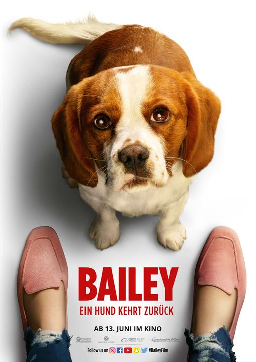 Bailey - Ein Hund kehrt zurück : Kinoposter