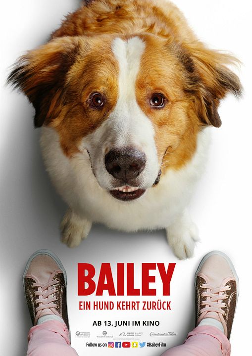 Bailey - Ein Hund kehrt zurück : Kinoposter