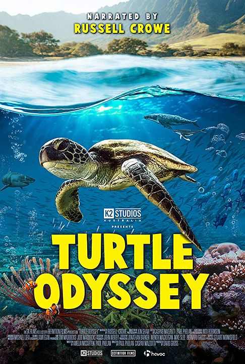 Turtle Odyssey : Kinoposter