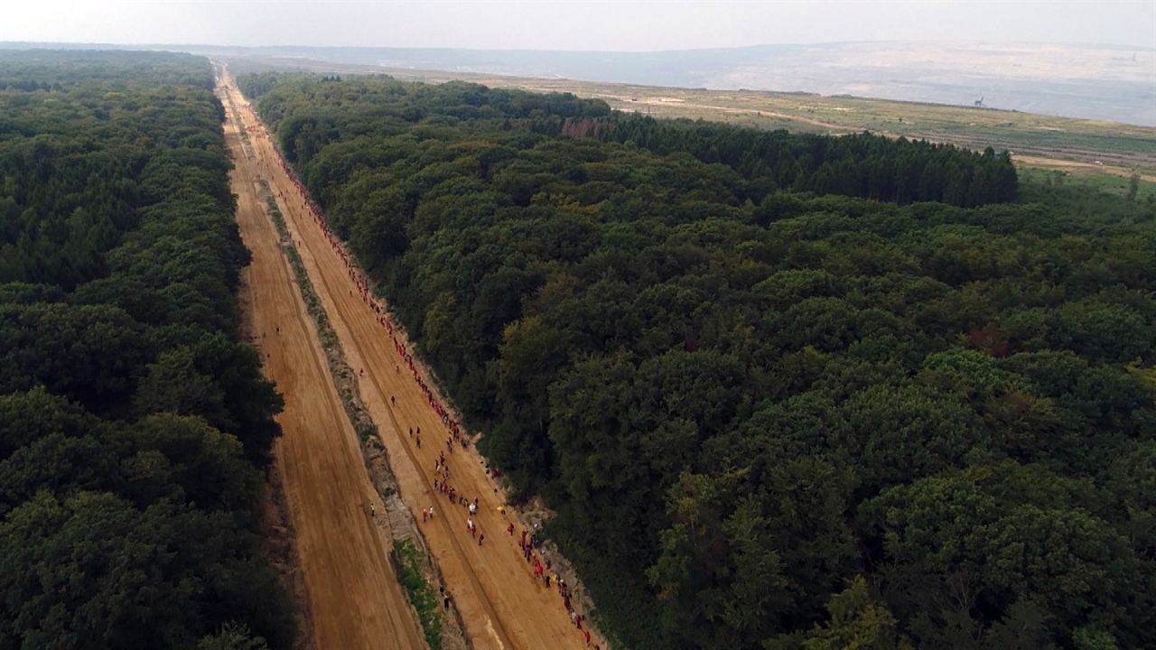 Die rote Linie – Vom Widerstand im Hambacher Forst : Bild