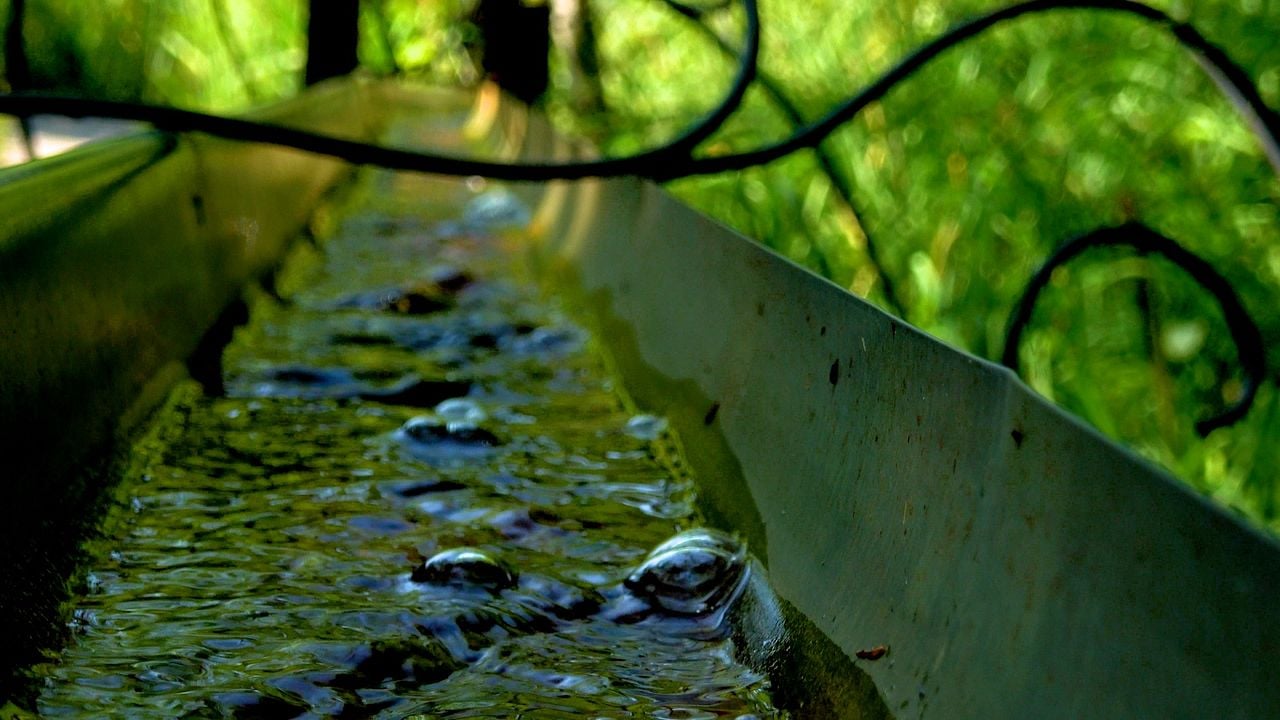 Le Jardin Des Cimes - Une Enclave En Altitude : Bild