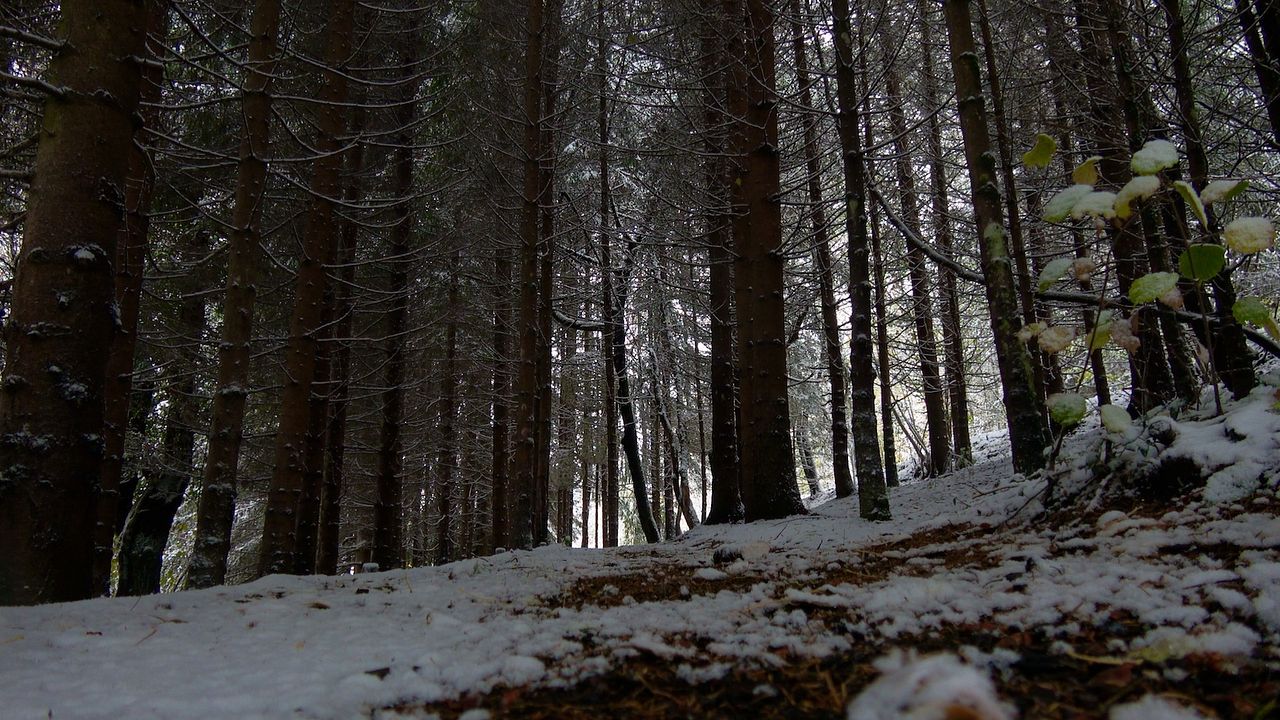 Le Jardin Des Cimes - Une Enclave En Altitude : Bild