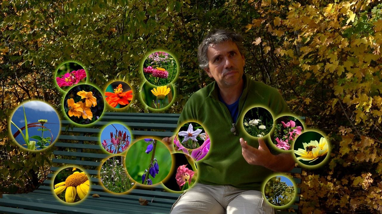 Le Jardin Des Cimes - Une Enclave En Altitude : Bild