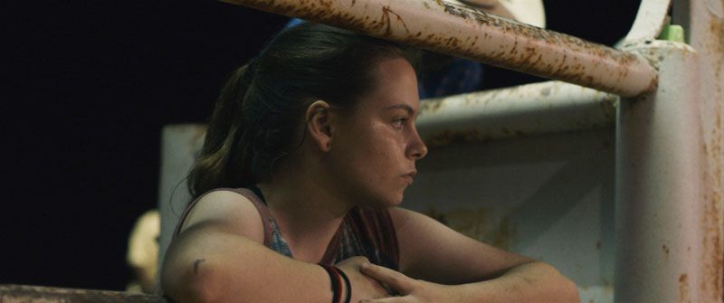 Bull : Bild Amber Havard